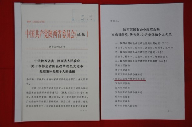 2009年2月，被陜西省委、省政府授予陜西省國有企業(yè)改革攻堅先進集體