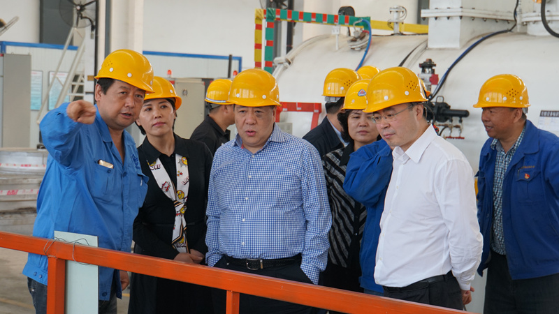 集團領導到標準熱處理、電器開關(guān)調(diào)研