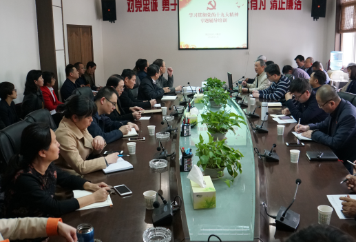 集團召開系統(tǒng)黨組織書記學(xué)習十九大精神專題培訓(xùn)會
